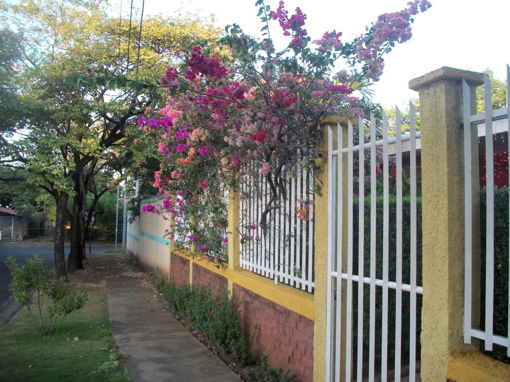 Hostal Casa Los Espinoza Managua Buitenkant foto